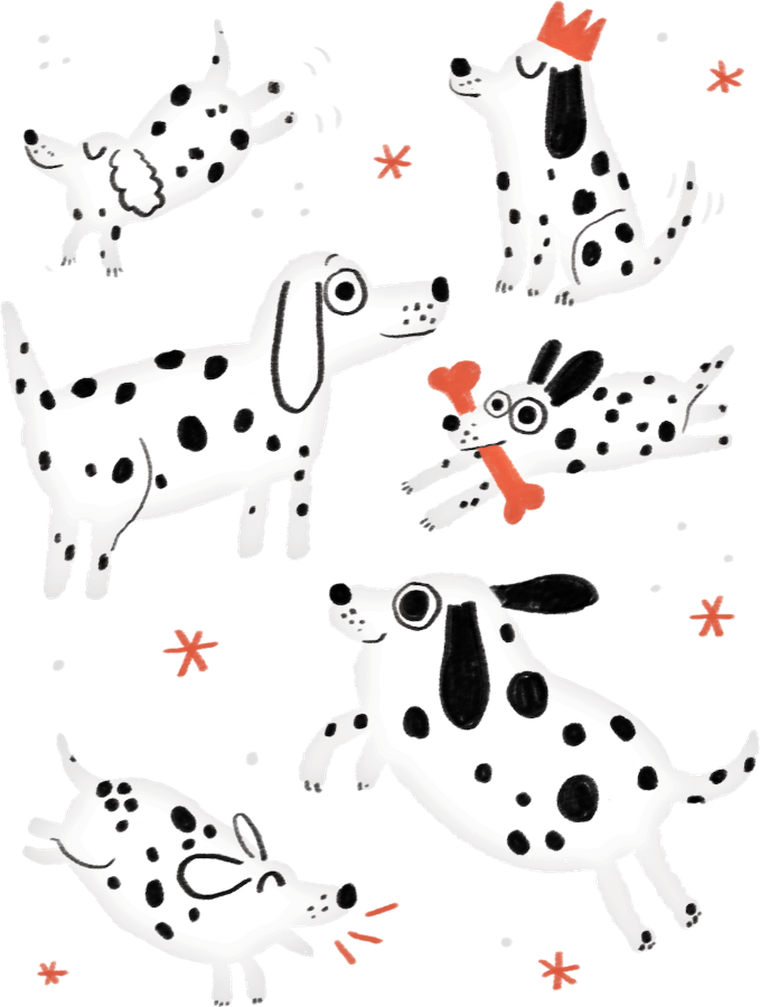 Rebel, Ciapki, gra familijna