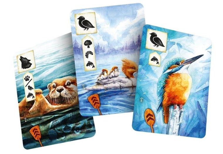 Rebel, Łąka: Z biegiem strumienia, gra familijna