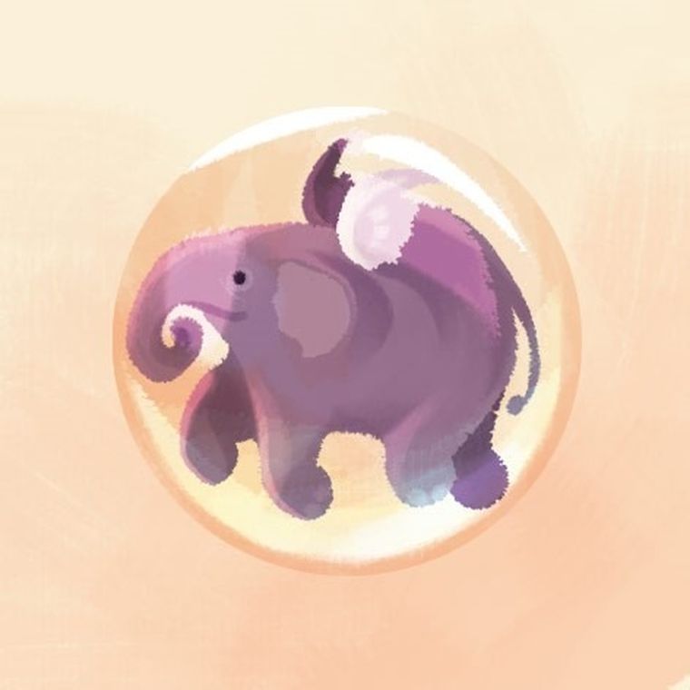 Rebel, Pluszowych snów!, gra familijna