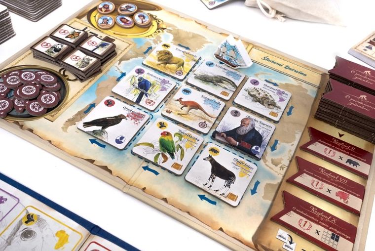 Rebel, Śladami Darwina, gra familijna