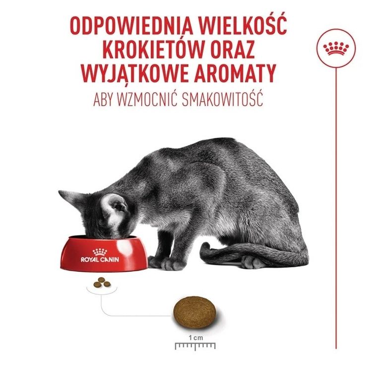 Royal Canin, FHN Cat Ageing Sterilised 11+, sucha karma dla kotów sterylizowanych, 4kg