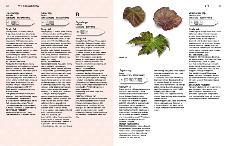 Rozmnażanie roślin. Przewodnik krok po kroku