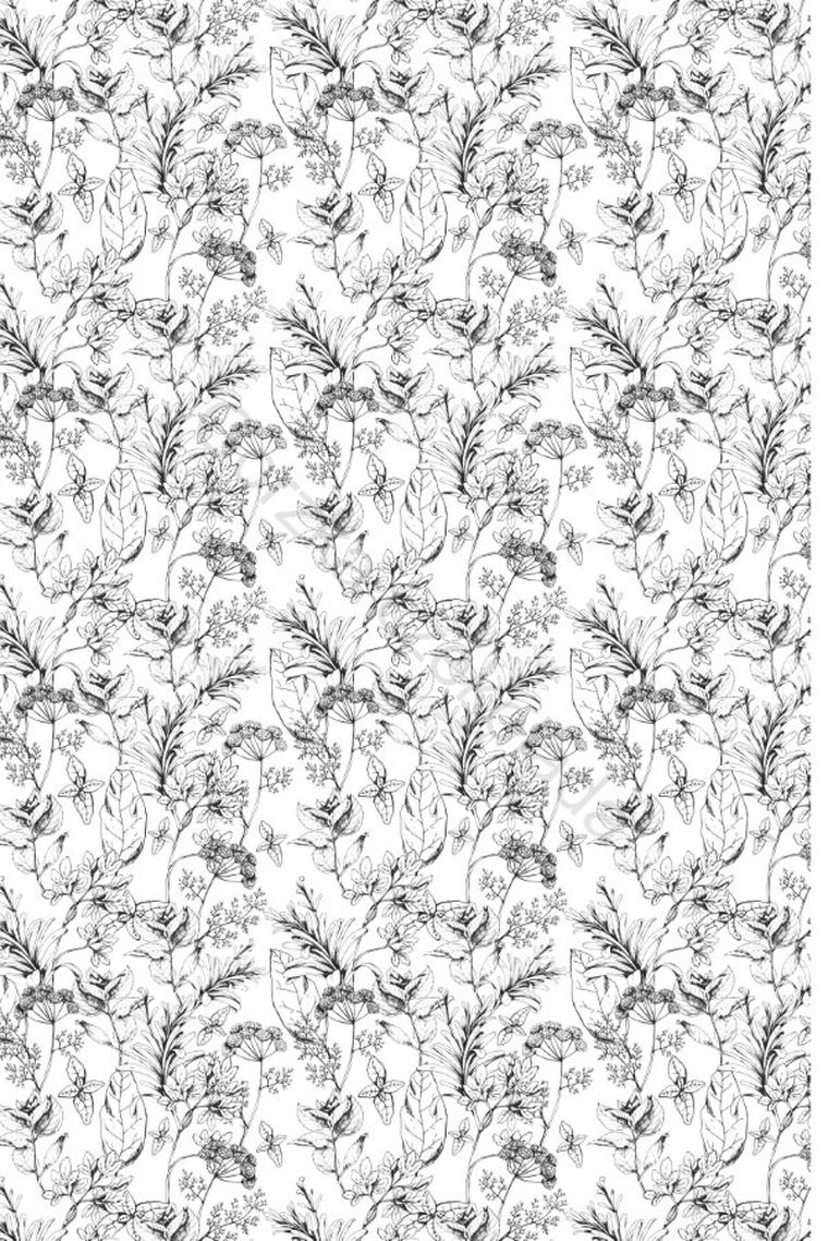 Saga Rodu Tyszkowskich. Aptekarka