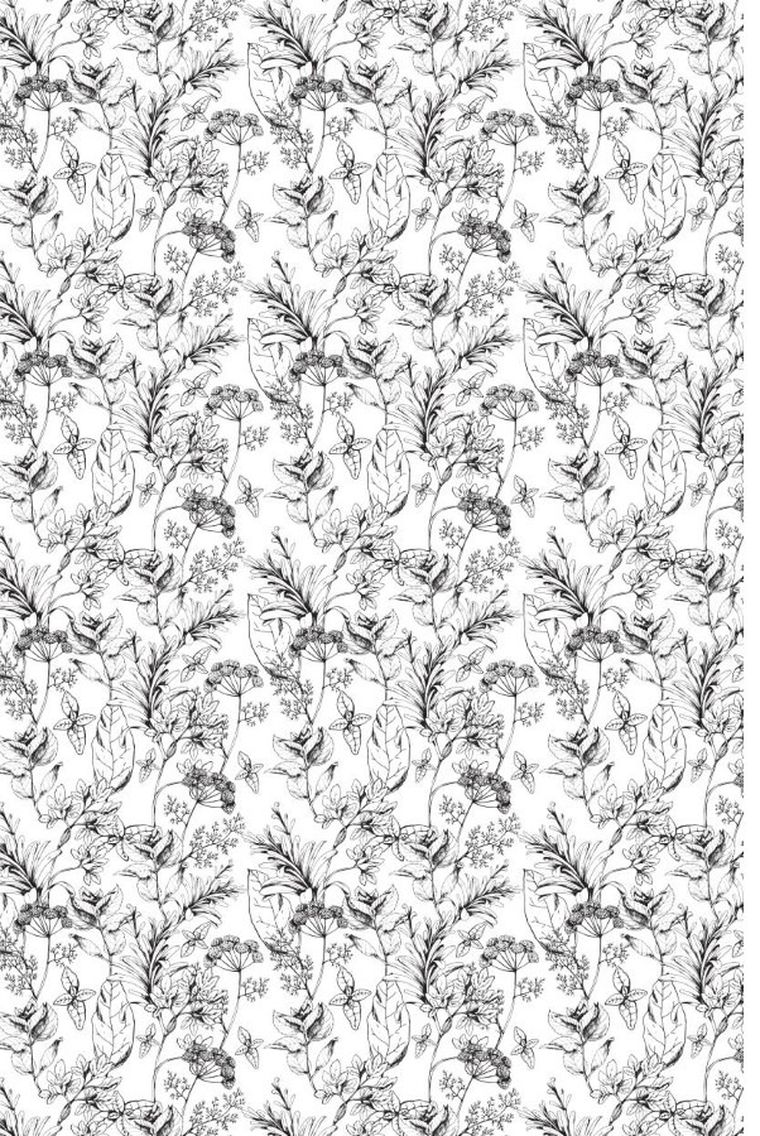 Saga rodu Tyszkowskich. Tom 2. Czarci ogród