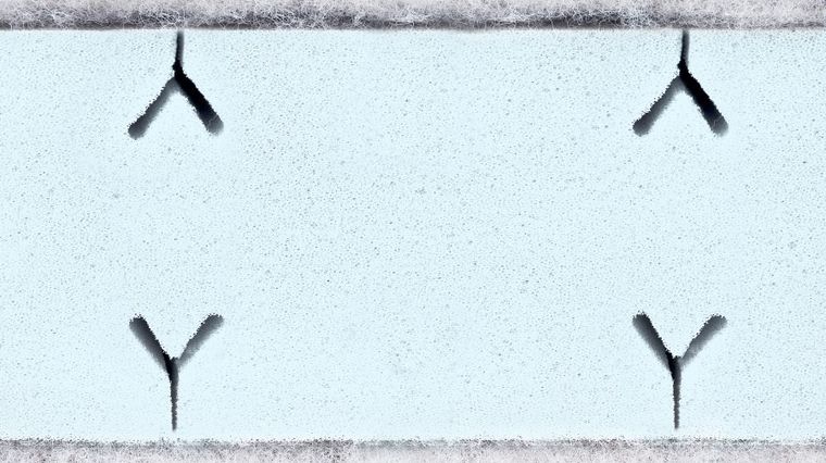 Sensillo, Supreme Seasons, materac dziecięcy, 120-60-13 cm