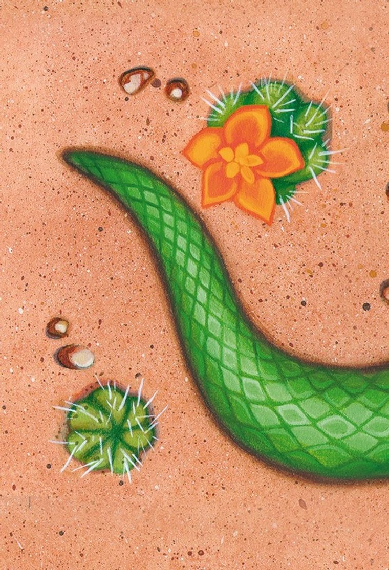 Serpentyna. Kolorowe węże, gra karciana