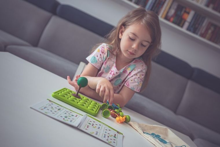 Smart Games, Psiaki Na Spacerze, gra logiczna