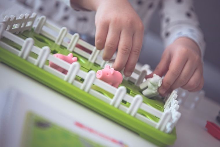 Smart Games, Zwierzaki Na Wsi, gra logiczna