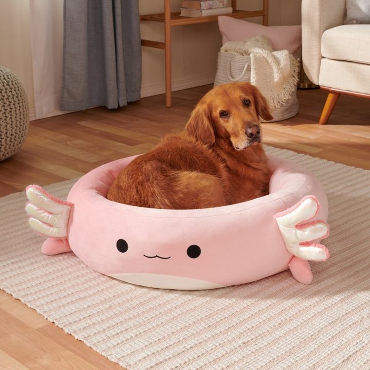 Squishmallows, legowisko dla psa/kota, rozmiar S, 50 cm, Archie The Axolotl