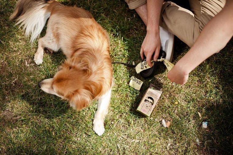 Starch Bag, BIOworki, worki na śmieci, czarne, 8 rolek x 15 szt.