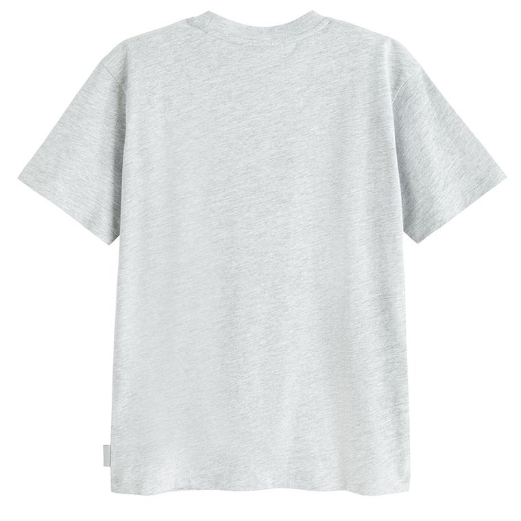 Szary t-shirt basic NOWEAR