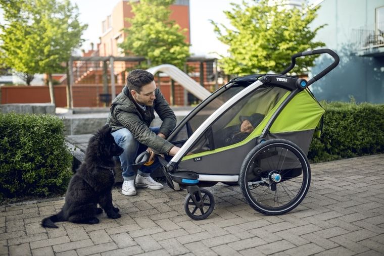 Thule, Chariot Cab 2, przyczepka rowerowa dla dzieci, oliwkowy/szary
