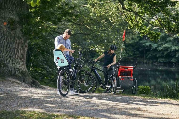 Thule, Yepp Nexxt Maxi, fotelik rowerowy montowany do ramy, Mint Green