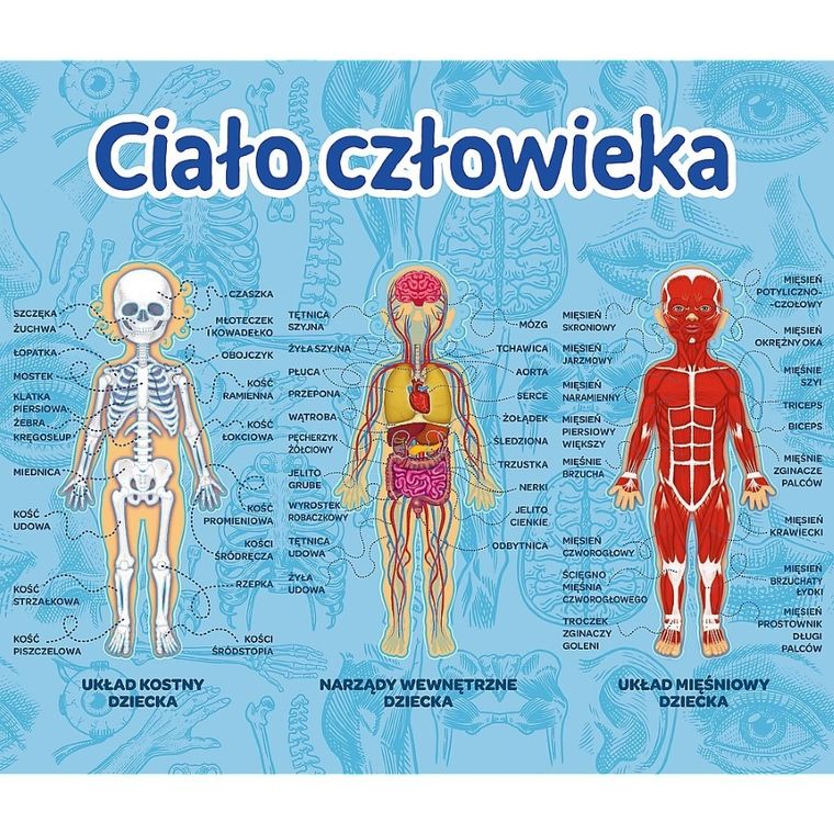 Trefl, Mistrz Wiedzy, Wynalazki + Ciało człowieka, gry edukacyjne, zestaw promocyjny