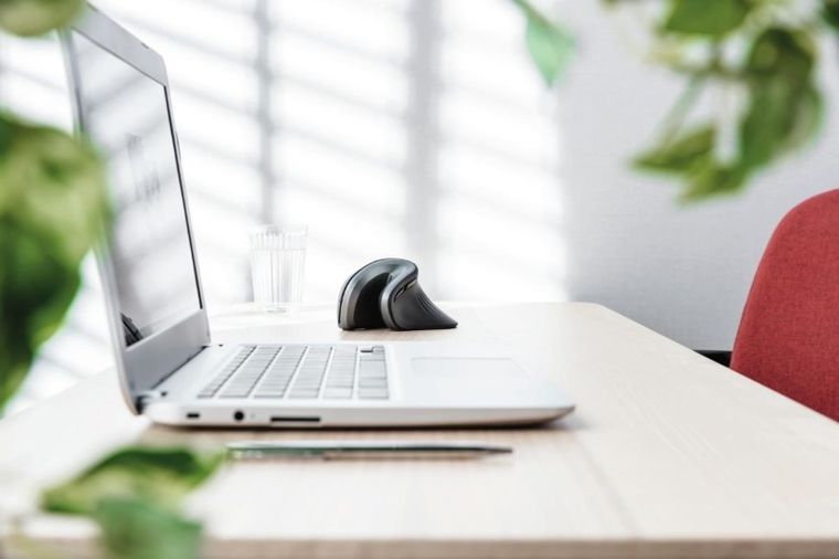 Trust, Verro Ergonomic Wireless Mouse, mysz optyczna, 1600 dpi, 1200 dpi, 600 dpi, 23507