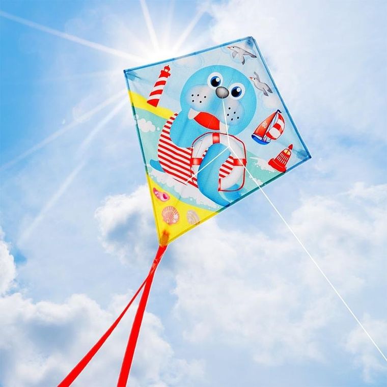 Vilde, latawiec, lew morski, 57-52 cm