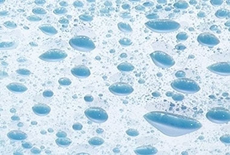 Zasłona prysznicowa, Mr Deer, 180-200 cm