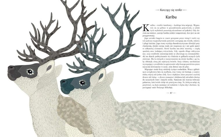 Znikające królestwo. Przewodnik po świecie