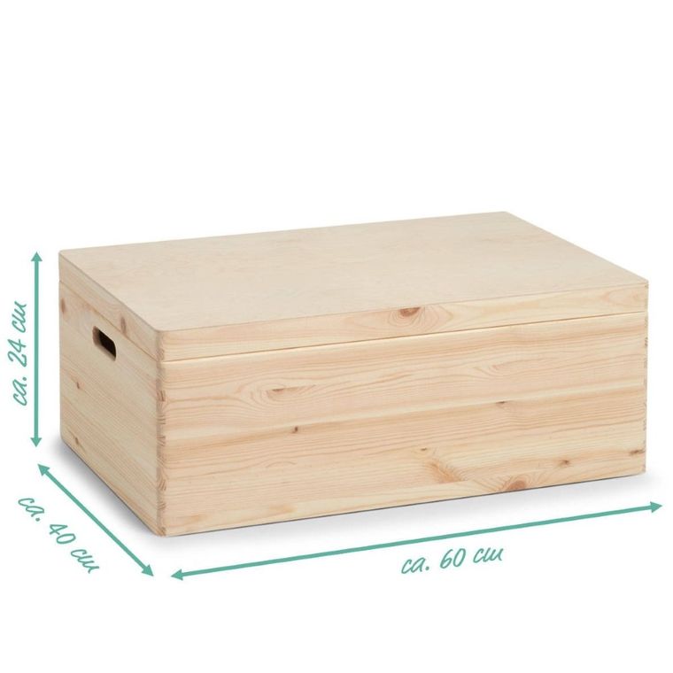 5five Simply Smart, pojemnik do przechowywania z wieczkiem, 58l