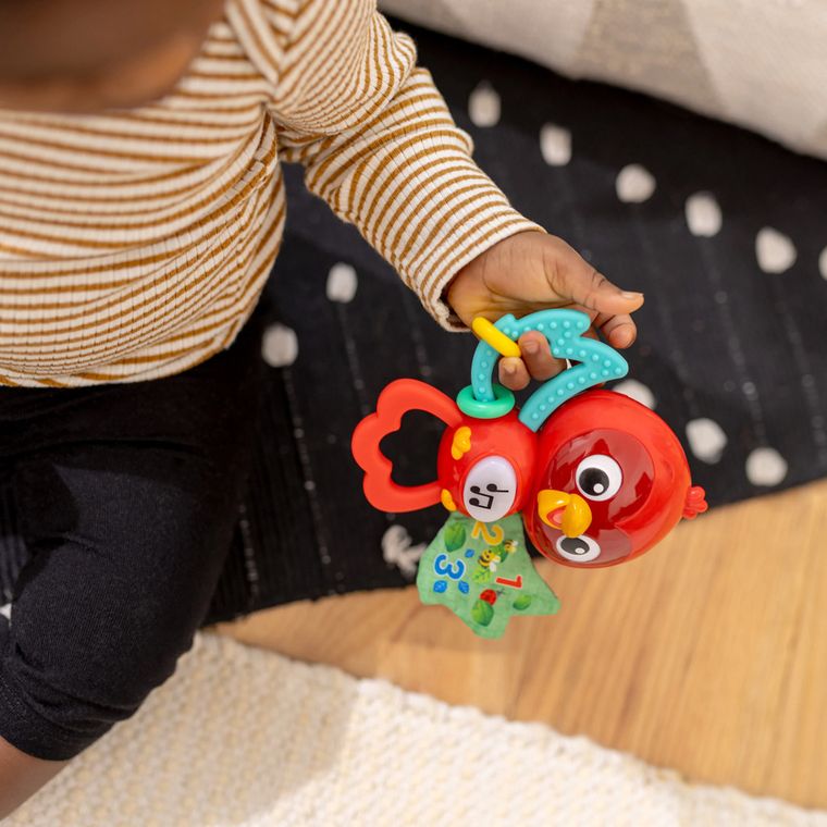 Baby Einstein, Roxy, sensoryczna zabawka interaktywna
