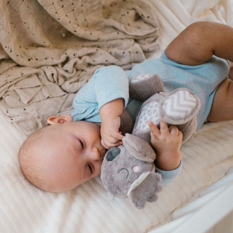 BabyOno, Koala Coco, maskotka