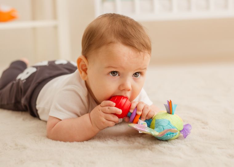 Balibazoo, rybka Felicity, grzechotka