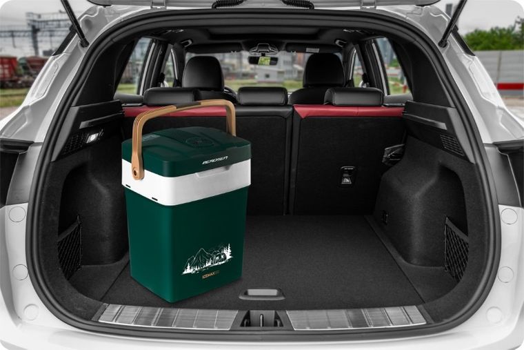 Berdsen, Icemax, lodówka turystyczna, tryb Eco, zielona, 29l