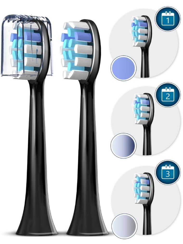 Berdsen, Sonica B5, szczoteczka soniczna do zębów, czarna