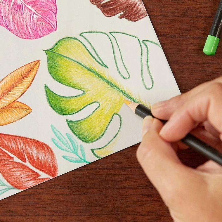 Bic, Intensity, kredki ołówkowe premium, 36 kolorów