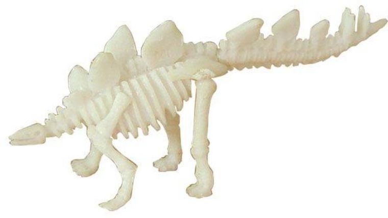 Bones&More, Duży szkielet dinozaura, wykopalisko, odcisk łapy