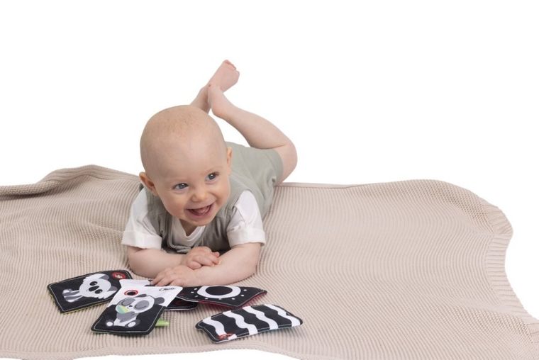 Chicco, Baby Sense & Focus, kontrastowe karty sensoryczne, czarno-białe
