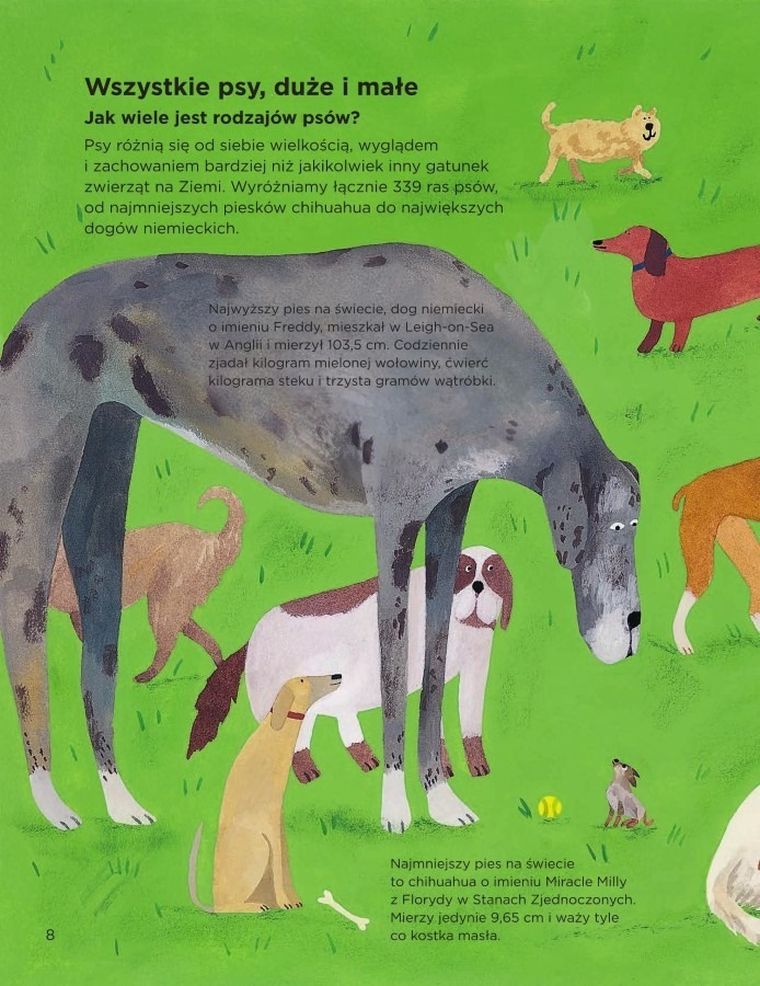 Dlaczego psy się obwąchują?