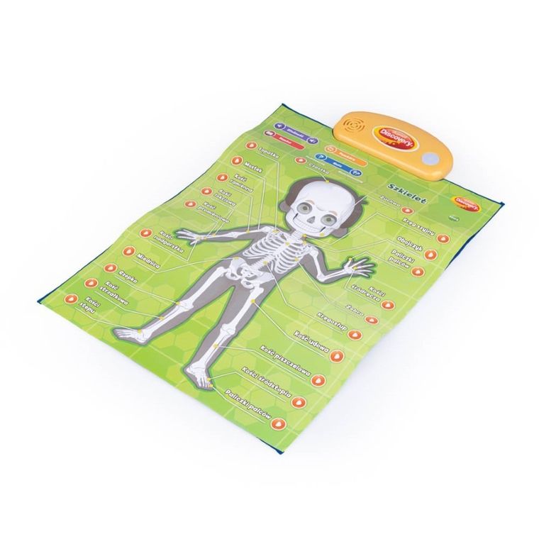 Dumel Discovery, Człowiek, edukacyjne plakaty interaktywne