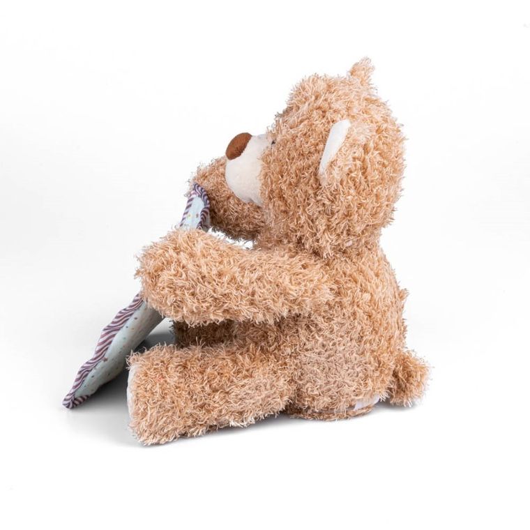 Dumel Discovery, Miś A Kuku, maskotka interaktywna