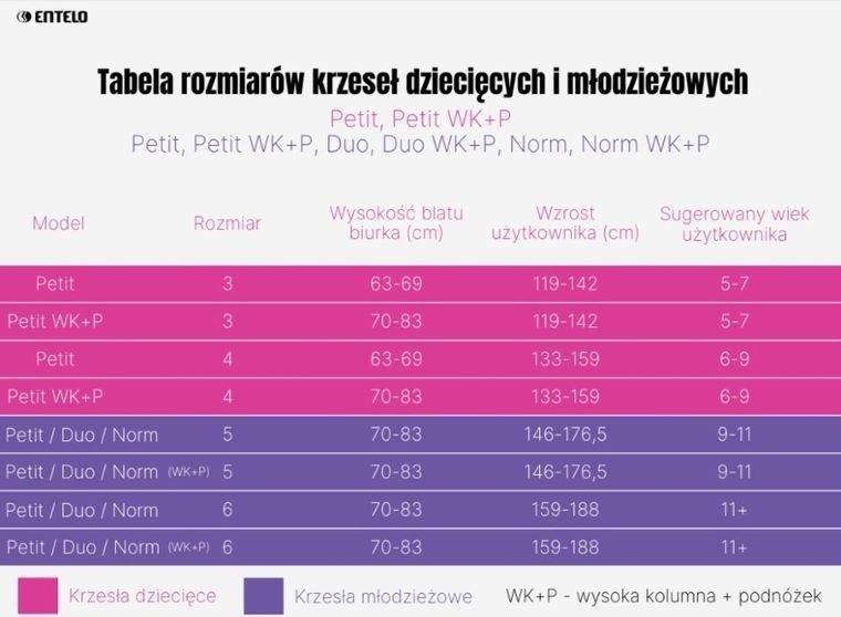 Entelo, Duo, krzesło biurowe z podłokietnikami, wzrost 159-188 cm, szare