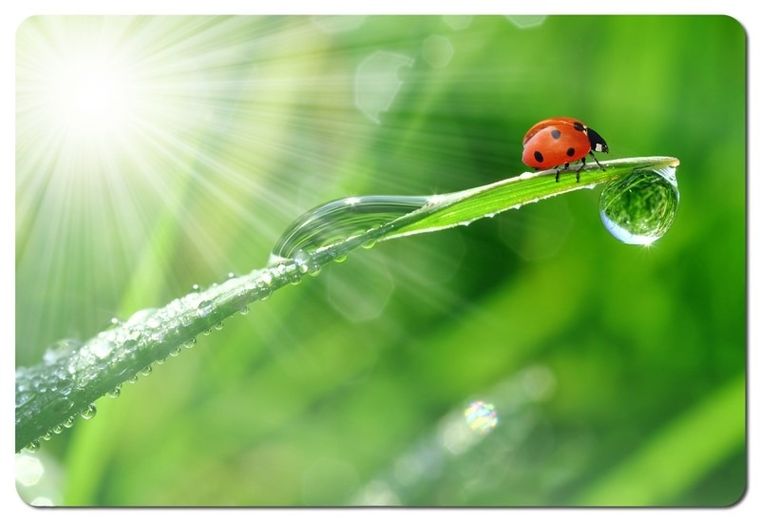 Esperanza, podkładka pod mysz, Foto Mix, EA133