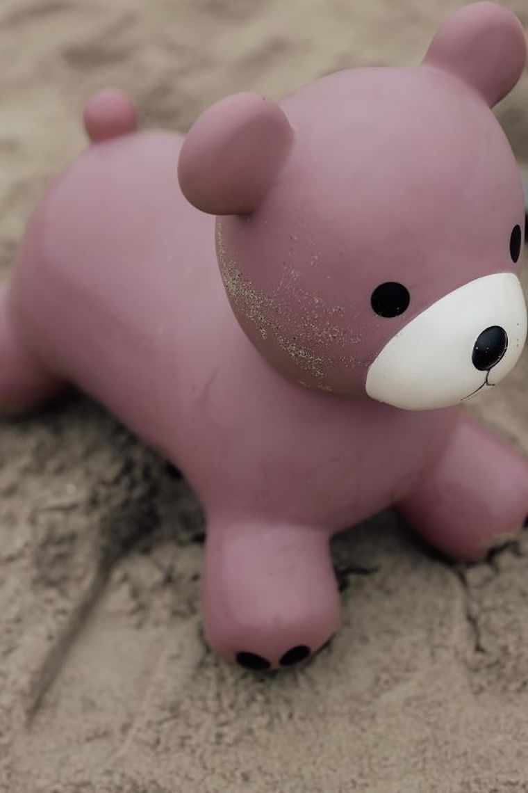 Find that Hippo, Miś, skoczek