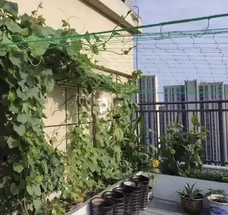 Gardlov, siatka - podpora do roślin, 2-10m