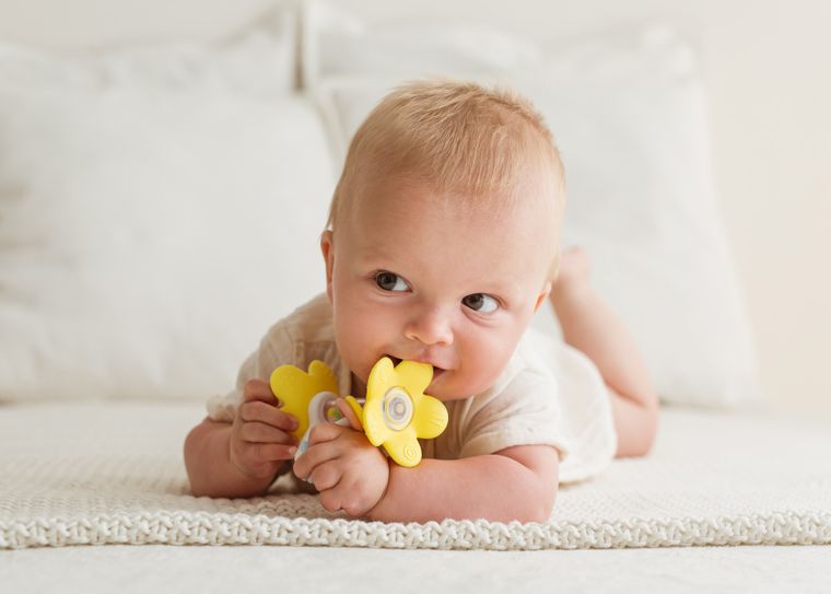 GiliGums, Grzechoczące Kwiatki, żółte