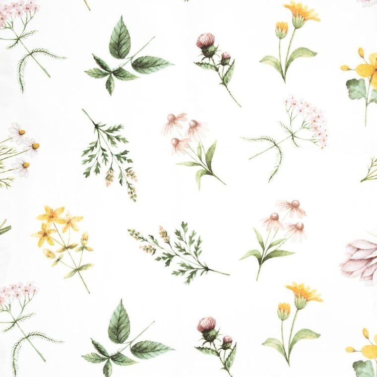 Homla, Prima, zestaw ścierek kuchennych, z motywem łąki, 50-70 cm, 2 szt.