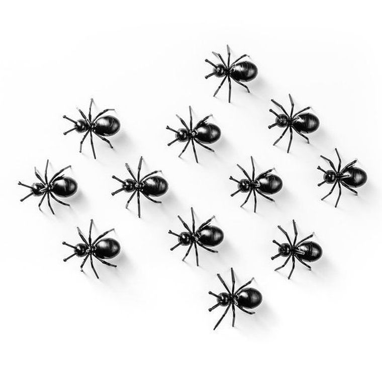 Imprezowe mrówki na przekąski