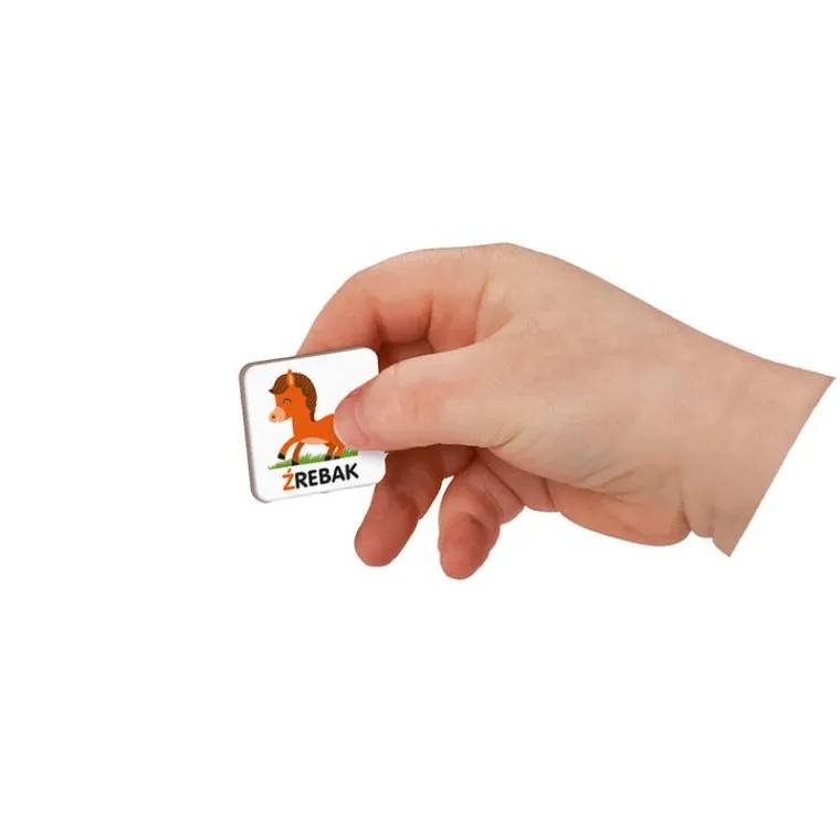 Janod, Magneti’book, Polski Alfabet, magnetyczna układanka