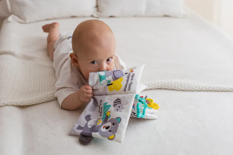JollyBaby, Sprytne zwierzaki, miękka książeczka sensoryczna