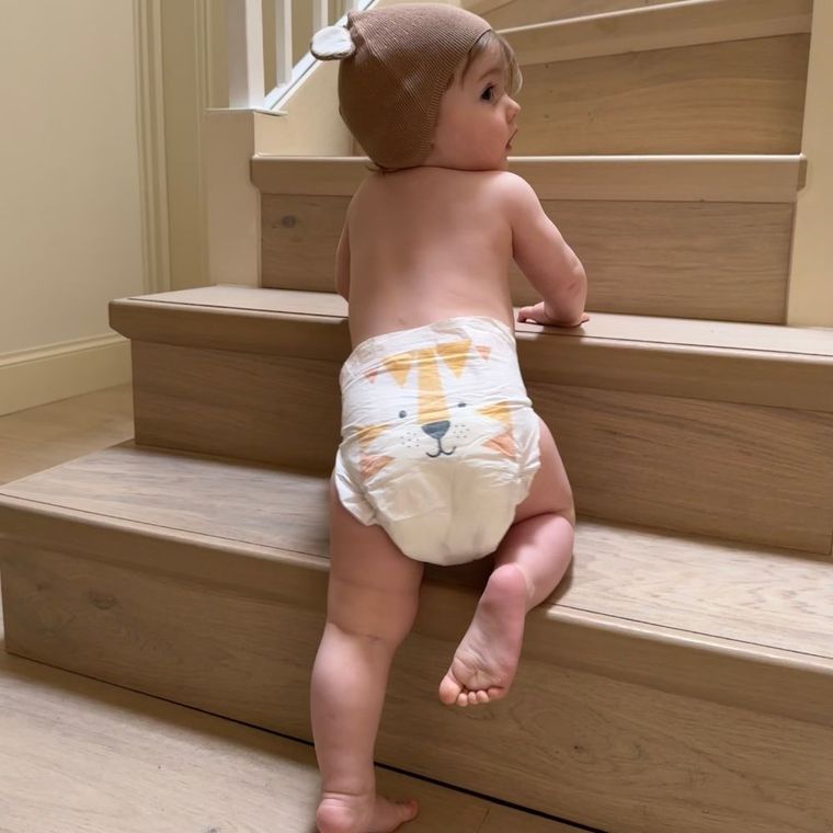 Kit and Kin, biodegradowalne pieluszki jednorazowe, rozmiar 4, Maxi Plus, 9-14 kg, lisek i tygrysek, 32 szt.