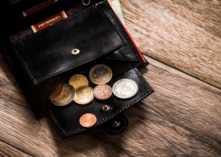 Klasyczny portfel męski z sekcją na karty, Peterson