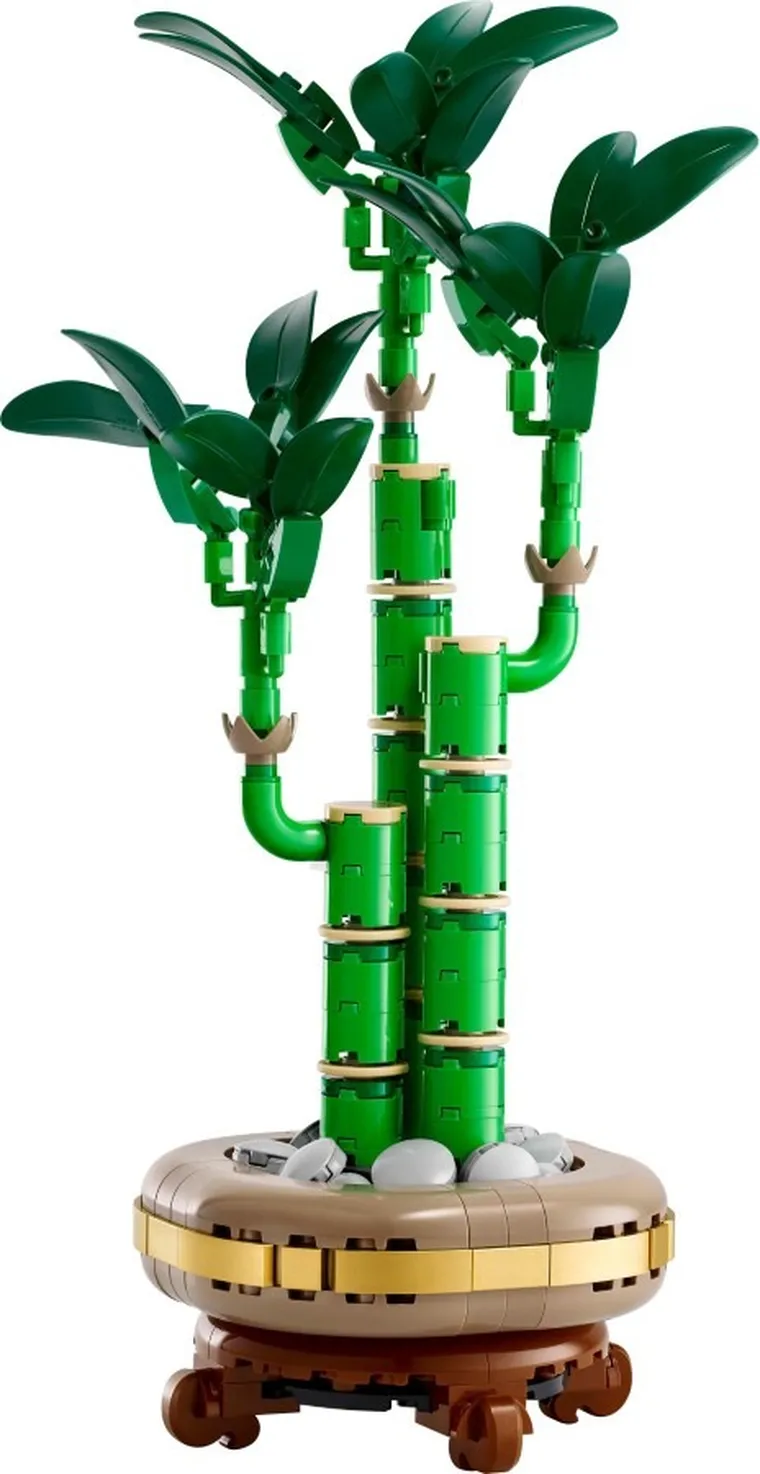 LEGO Botanicals, Dracena sandera, 10344