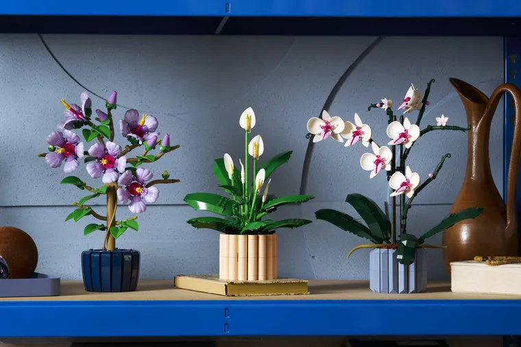 LEGO Botanicals, Skrzydłokwiat, 11504