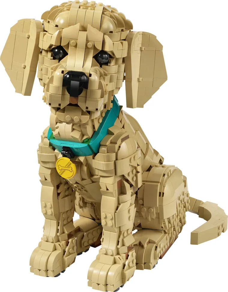 LEGO Icons, Szczeniak golden retriever, 11384
