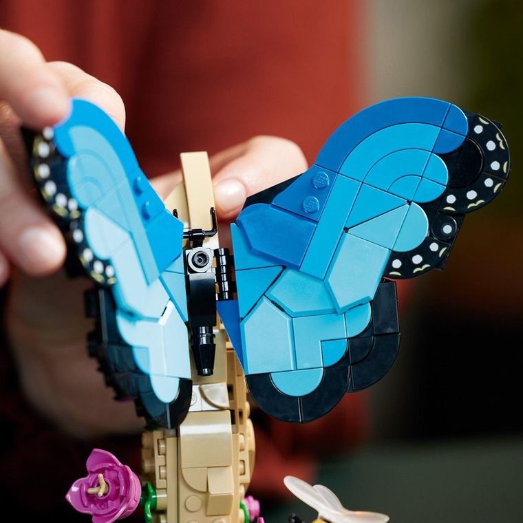 LEGO Ideas, Kolekcja owadów, 21342