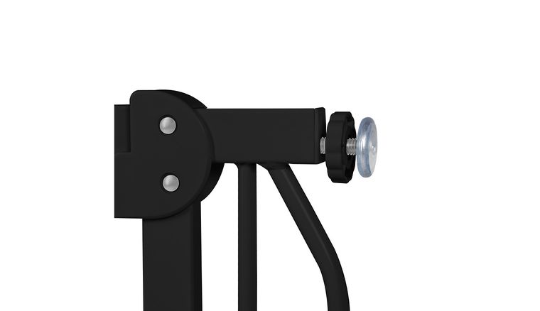 Lionelo, Truus, Slim, bramka ochronna, Black Carbon Natural